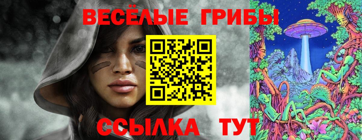 Галлюциногенные грибы Cubensis  Вход с VPN  Киров 